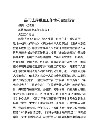 司法局重点工作情况自查报告