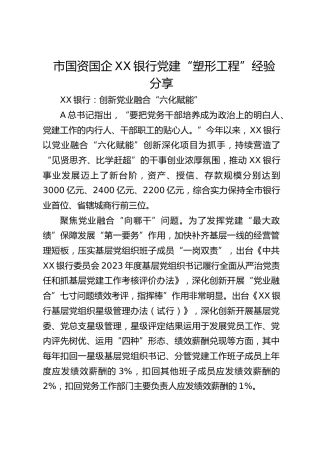 市国资国企银行党建“塑形工程”经验分享