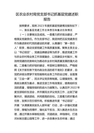 区农业农村局党支部书记抓基层党建述职报告（落实基层党建工作主体责任和重点任务、意识形态、党风廉政建设责任制三个方面）