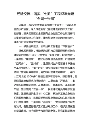 经验交流：落实“七抓”工程 织牢党建“全国一张网”（发言）