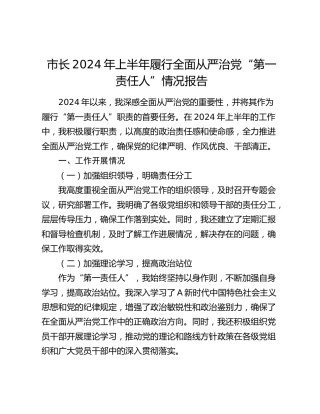 市长上半年履行全面从严治党“第一责任人”情况报告