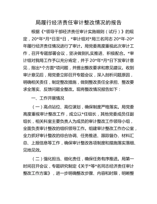 履行经济责任审计整改情况的报告