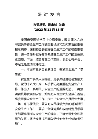 安全生产市长研讨发言
