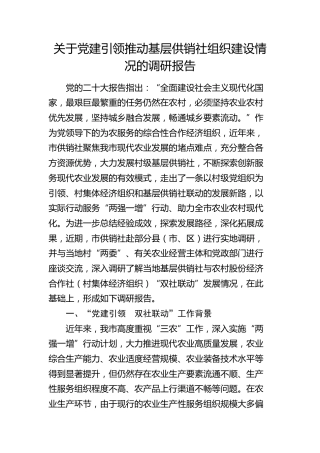 党建引领推动基层供销社组织建设情况的调研报告