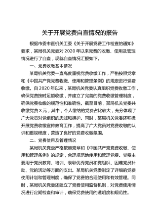 近年党费自查情况报告1200字