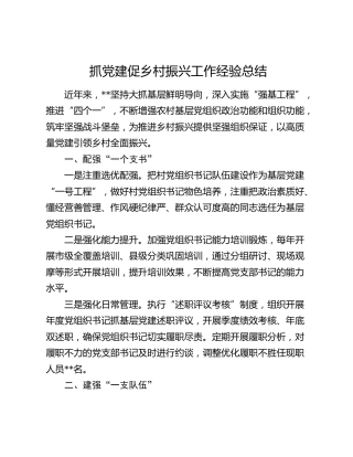 抓党建促乡村振兴工作经验总结汇报