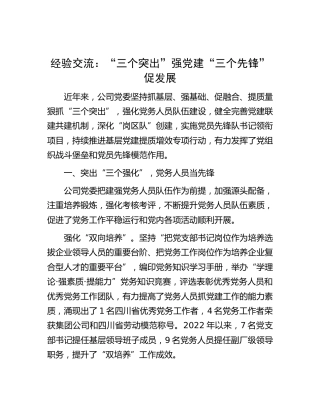 经验交流：“三个突出”强党建 “三个先锋”促发展