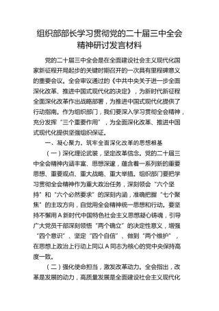 组织部部长二十届三中全会精神研讨发言
