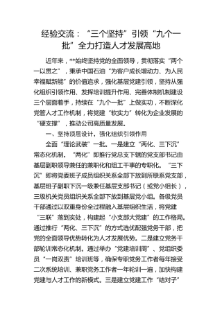 经验交流：“三个坚持”引领“九个一批” 全力打造人才发展高地（发言）