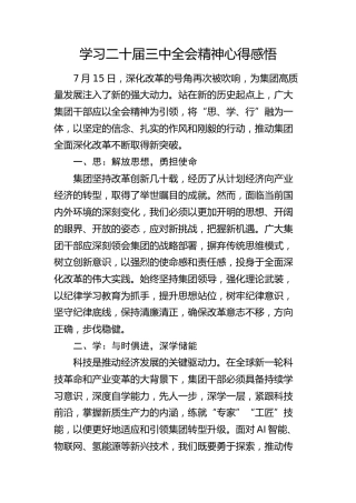 学习二十届三中全会精神心得感悟 (2)