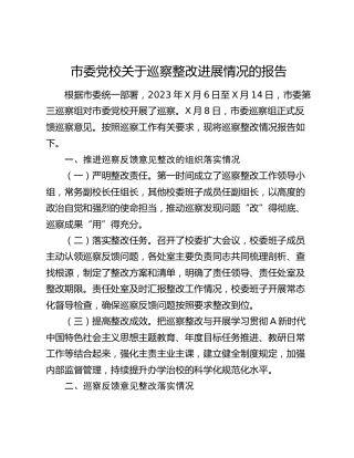 市委党校关于巡察整改进展情况的总结报告