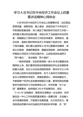 学习中央经济工作会议上的重要讲话精神心得体会发言
