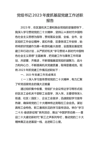 党组书记2023年度抓基层党建工作述职报告5000字