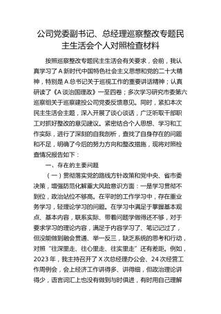 公司副书记、总经理巡察整改专题民主生活会个人对照检查4500字