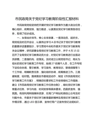 市民政系统党纪学习教育阶段性总结汇报