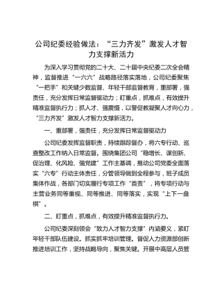 公司纪委经验做法：“三力齐发”激发人才智力支撑新活力