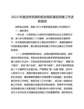 2023年度自然资源和规划局抓党建工作述职报告2300字
