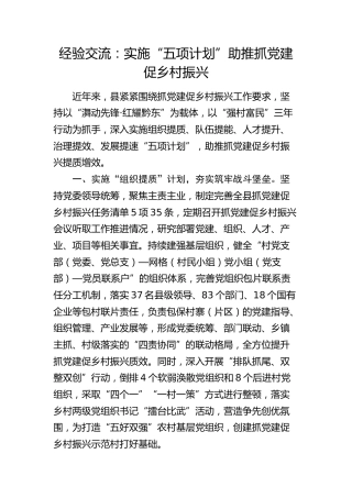 经验交流：实施“五项计划”助推抓党建促乡村振兴（发言）