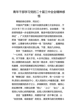 青年干部学习二十届三中全会精神感悟