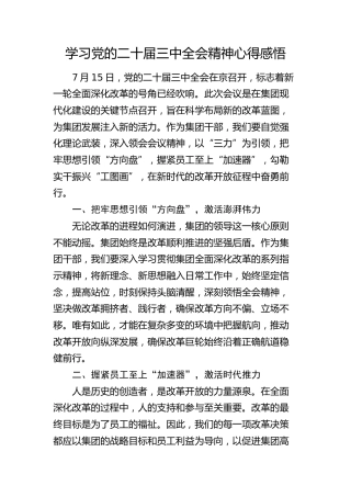 学习二十届三中全会精神心得体会（公司）