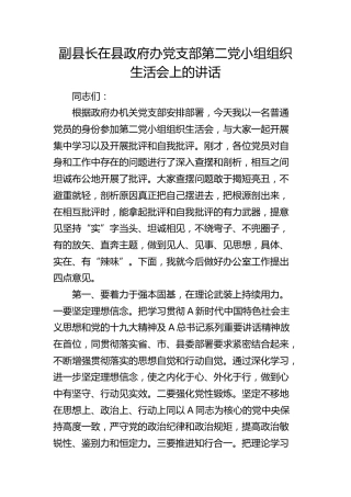 副县长在县政府办党支部第二党小组组织生活会上的讲话（双重）