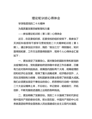理论轮训班心得体会（发言）