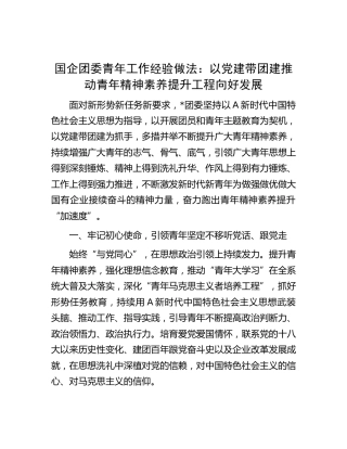 国企团委青年工作经验做法：以党建带团建推动青年精神素养提升工程向好发展（公司）