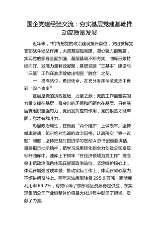 国企党建经验交流：夯实基层党建基础 推动高质量发展（公司）
