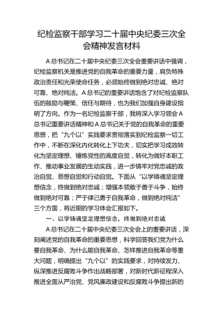 纪检监察干部学习纪委三次全会精神发言材料