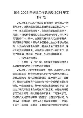国企公司2023年党建工作总结及2024年工作计划