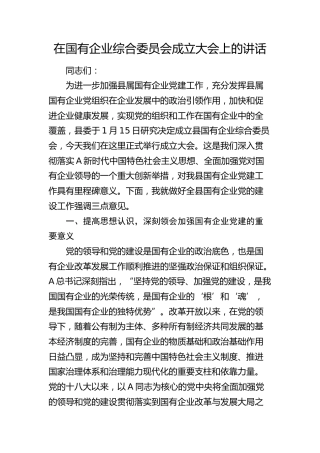 在国企综合委员会成立大会上的讲话（公司）