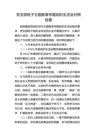 支部班子主题教育专题组织生活会对照检查3300字
