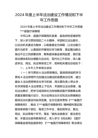 2024年度上半年法治建设工作情况总结（医保系统）