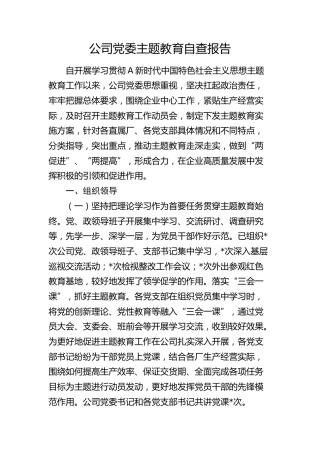 公司主题教育自查报告（3600字总结）