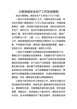 分管领域安全生产工作发言