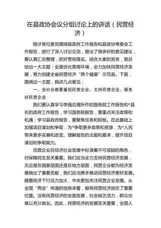 在县政协会议分组讨论上的讲话（民营经济）