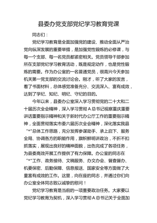 县委办党支部党纪专题党课