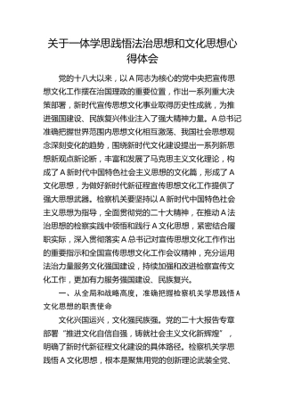 关于一体学思践悟法治思想和文化思想心得体会（发言）