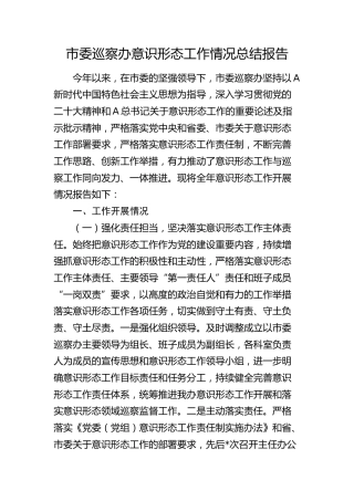 市委巡察办意识形态工作情况总结报告