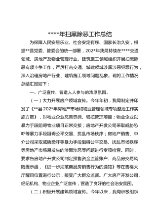 扫黑除恶工作总结