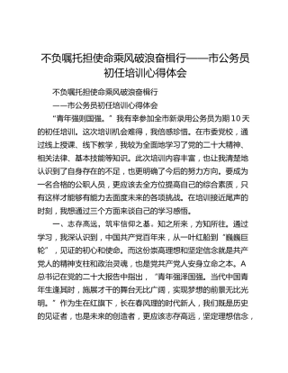 市公务员初任培训心得体会（发言）