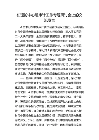 在理论中心组审计工作专题研讨会上的交流发言