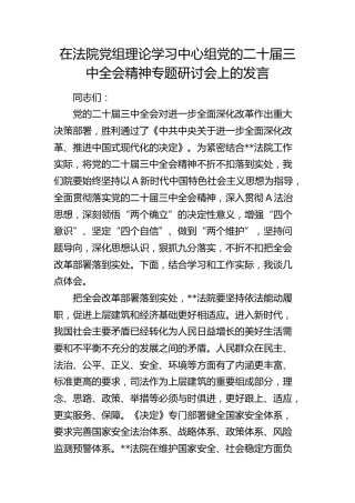在法院中心组二十届三中全会精神专题研讨会上的发言