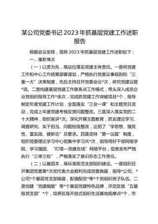 公司党委书记2023年抓基层党建工作述职报告2100字