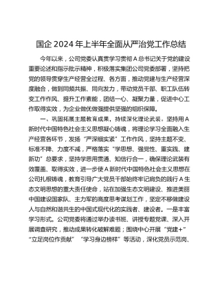 国企公司2024年上半年全面从严治党工作总结3300字