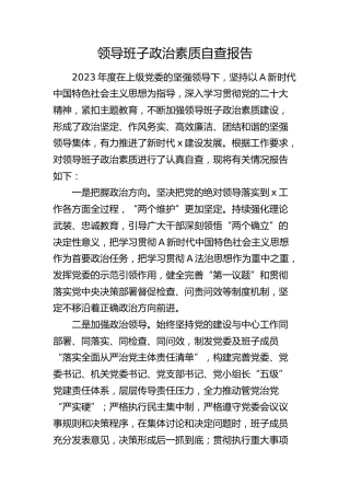 领导班子政治素质自查报告2700字