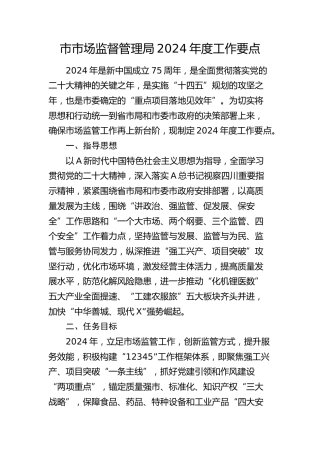 市市场监管局2024年度工作要点7700字（计划）