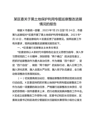 县区关于黑土地保护利用专题巡察整改进展情况的总结报告