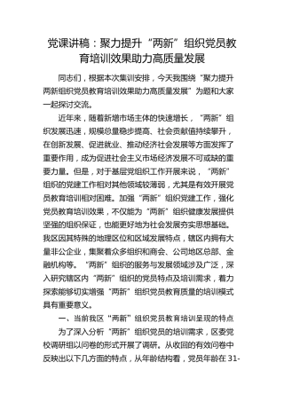 党课：聚力提升“两新”组织党员教育培训效果 助力高质量发展