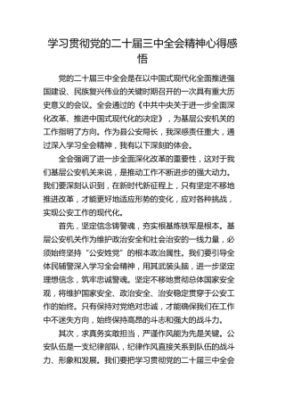 公安系统二十届三中全会精神心得体会发言